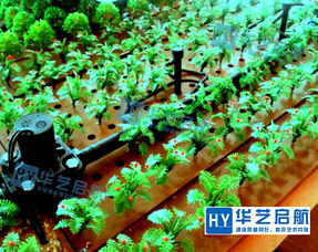 農(nóng)業(yè)沙盤 農(nóng)業(yè)沙盤設(shè)計方案