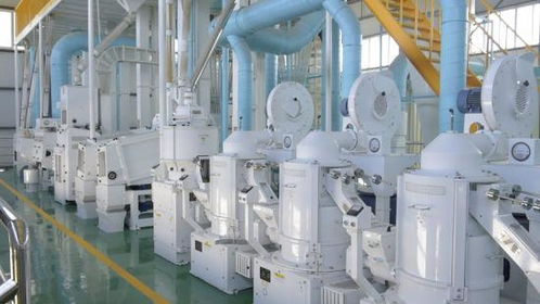 呼倫貝爾鄉村振興落地開花 既有 里子 又有 面子