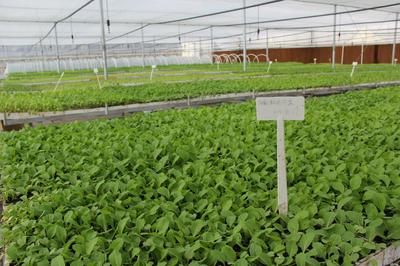 貴州農(nóng)熠農(nóng)業(yè)開(kāi)發(fā)