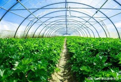 招商啦!上猶縣水巖鄉(xiāng)生態(tài)農(nóng)業(yè)產(chǎn)業(yè)基地建設(shè)招商推介書(shū)!