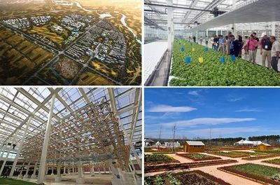 【游學(xué)課程】以農(nóng)業(yè)為基礎(chǔ),如何搭建現(xiàn)代農(nóng)業(yè),休閑度假,田園社區(qū)的農(nóng)業(yè)綜合體開(kāi)發(fā)模式?