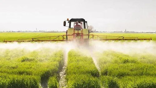 常州市生態(tài)循環(huán)農(nóng)業(yè)重點(diǎn)發(fā)展模式