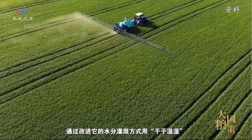 基因 再生 栽培 探秘農業科技的 配合密碼