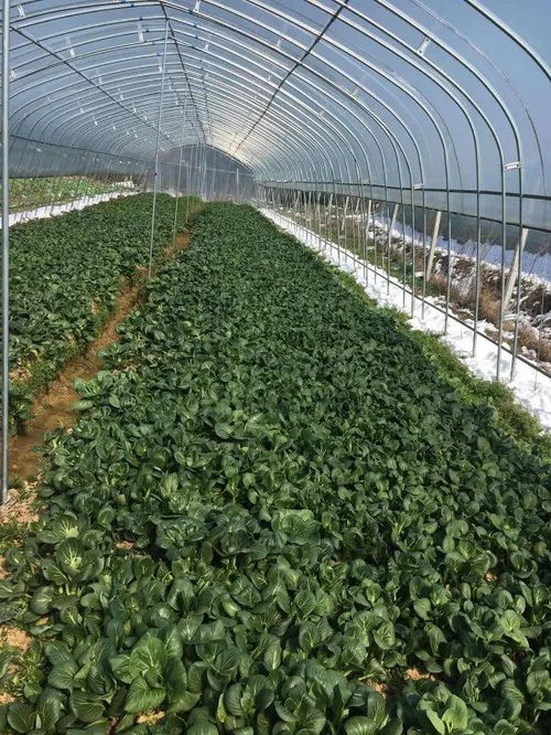 青春助農 共同戰疫 ,期待你的加入