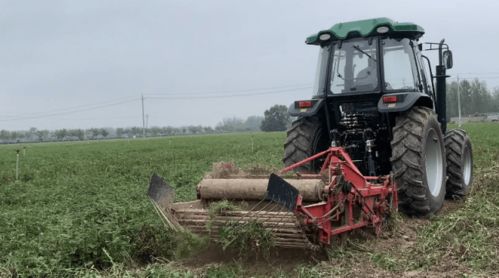 中國 花生論壇 明日舉行,專家共話花生產(chǎn)業(yè)發(fā)展