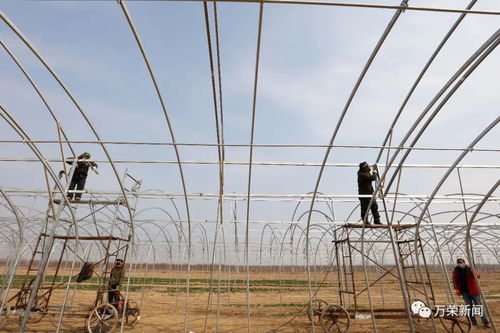 縣農(nóng)副產(chǎn)品加工發(fā)展服務(wù)中心多舉并措抓好農(nóng)業(yè)產(chǎn)業(yè)提檔升級重點(diǎn)項(xiàng)目