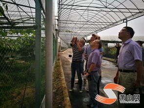 我區迎來創建 省級農產品質量安全放心縣 工作考評檢查