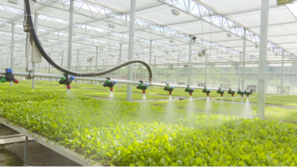 &ldquo;智慧農業&rdquo;能致富?&ldquo;數字鄉村&rdquo;是啥樣?快來看貴陽高新區企業如何用科技賦能農業!