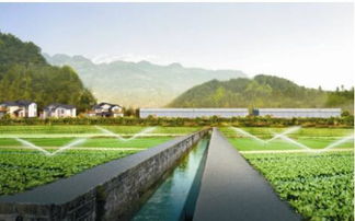 生態(tài)農(nóng)業(yè)成發(fā)展趨勢(shì)，武漢龜谷公司專(zhuān)業(yè)規(guī)劃服務(wù)受青睞