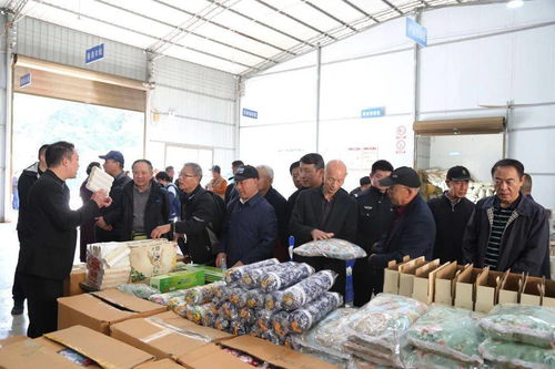 喜迎重陽(yáng) 農(nóng)業(yè)開(kāi)發(fā)中的安康中院老前輩佳節(jié)紀(jì)念