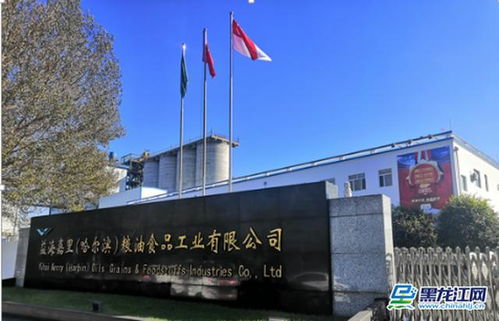 深耕龍江十余載 金龍魚(yú)糧油王者C位登創(chuàng)農(nóng)業(yè)開(kāi)發(fā)