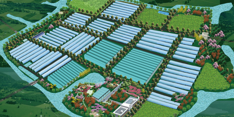 高端訪(fǎng)談 寧波海創(chuàng)科技園副總經(jīng)理單揚(yáng)勛談農(nóng)業(yè)開(kāi)發(fā)創(chuàng)新之路