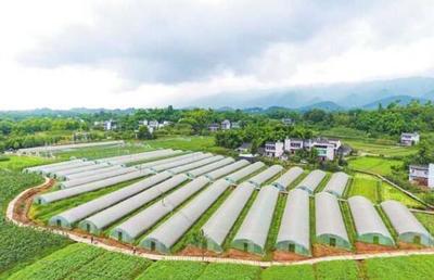 璧山 培育農(nóng)業(yè)新業(yè)態(tài)，城鄉(xiāng)融合書(shū)新卷