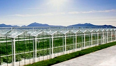 河南農(nóng)園農(nóng)業(yè)科技開(kāi)發(fā)——推動(dòng)現(xiàn)代農(nóng)業(yè)發(fā)展的新引擎