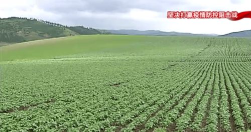 構筑特色農業新優勢，以產業發展促鄉村振興