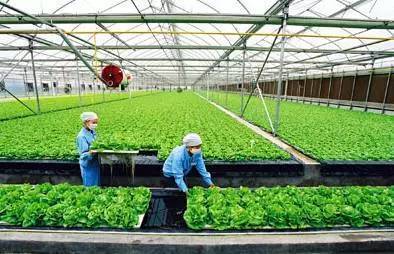 2017下半年這10個農業項目補貼不能再錯過！