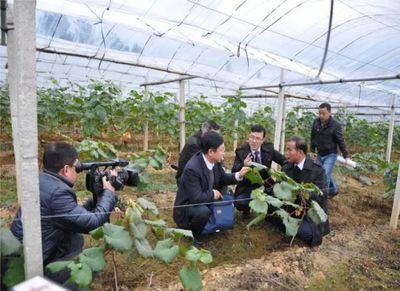 金融活水潤沃野 產(chǎn)品創(chuàng)新激活扶貧產(chǎn)業(yè)新動(dòng)能