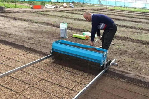 責(zé)任鑄就誠信，匠心滋養(yǎng)沃土——記興安盟嶺南香農(nóng)產(chǎn)品開發(fā)有限責(zé)任公司的農(nóng)業(yè)開發(fā)之路